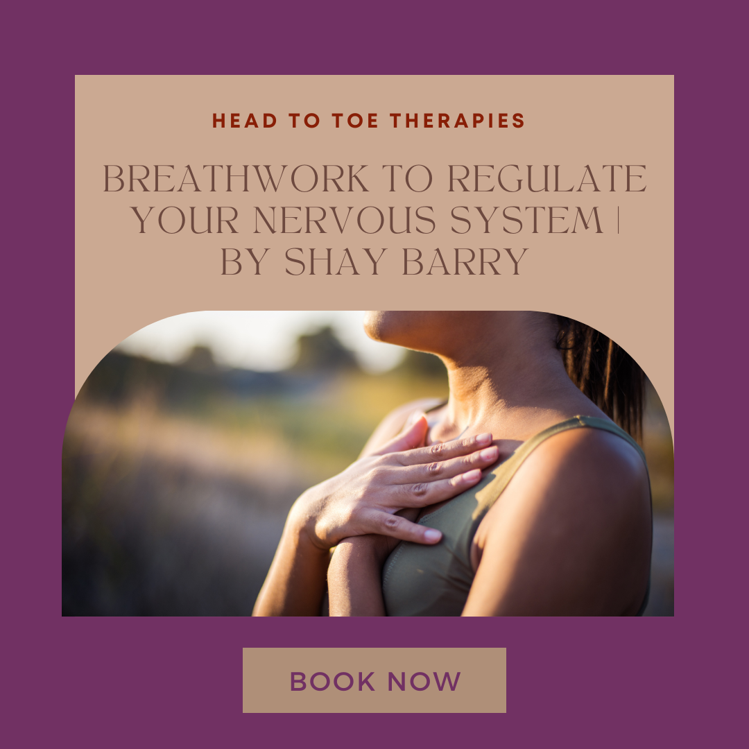Breathwork to Regulate your Nervous System By Shay Barry