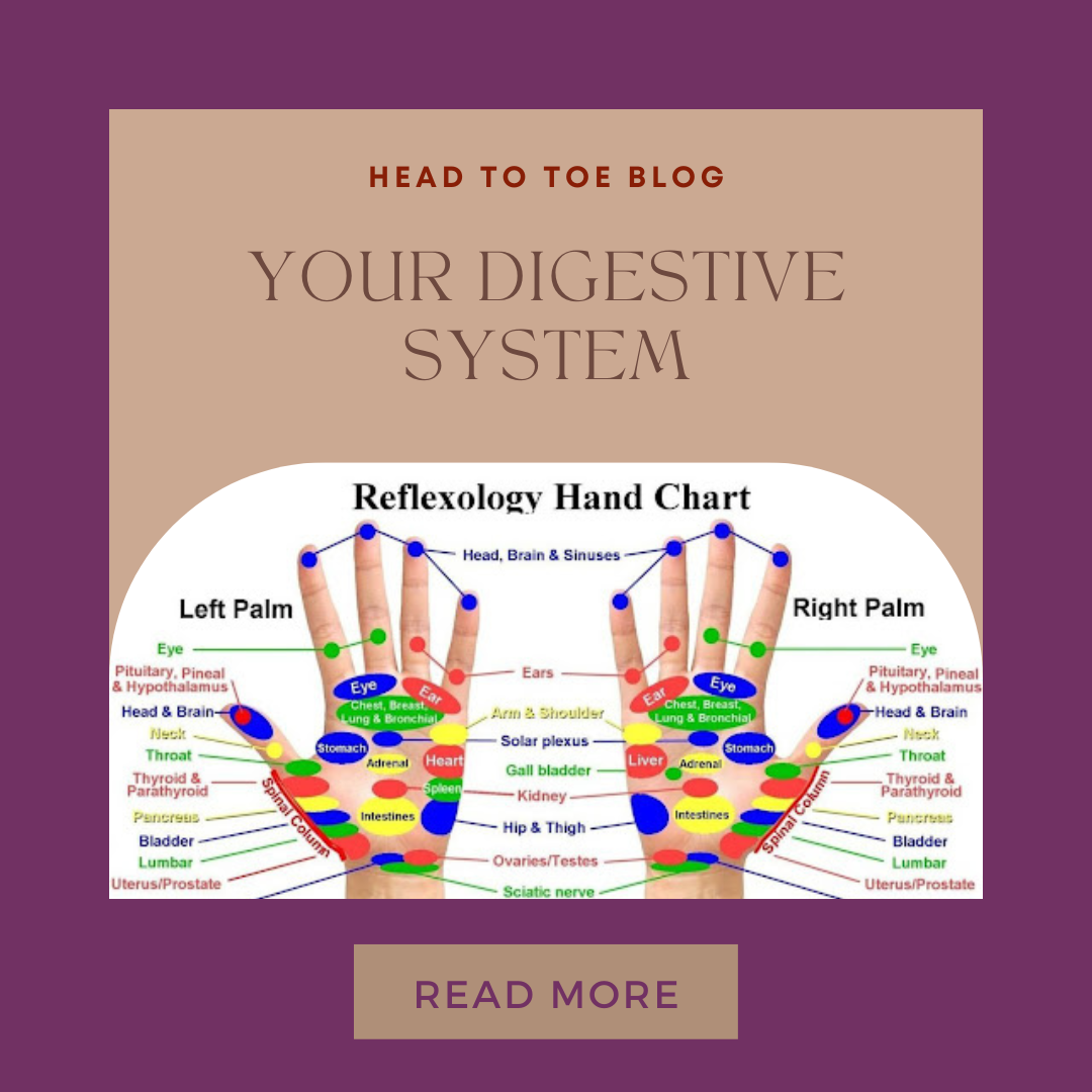 Wellness Bank for Moms