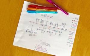 Genogram & Family Constellation Session with Zenaida Petre 6 unnamed 18